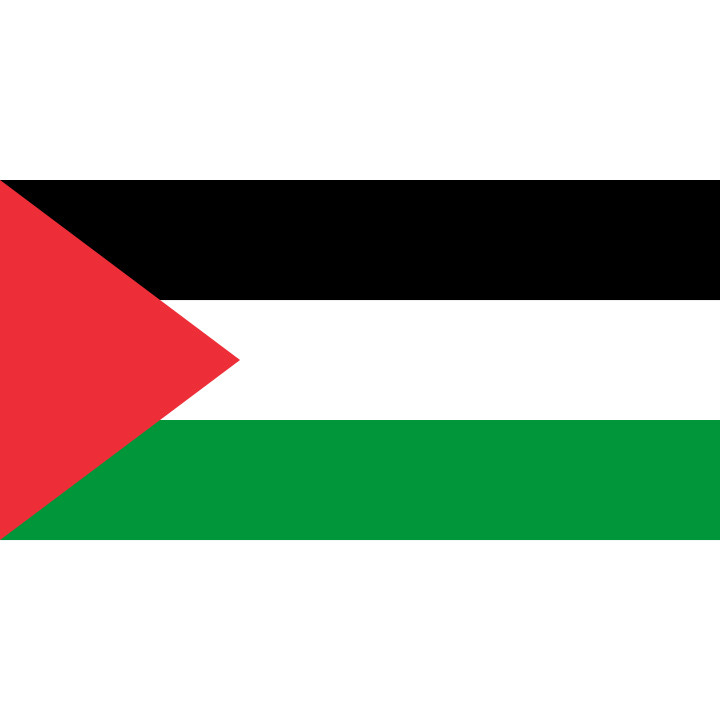 Official flag of Palestine - Printscorpio