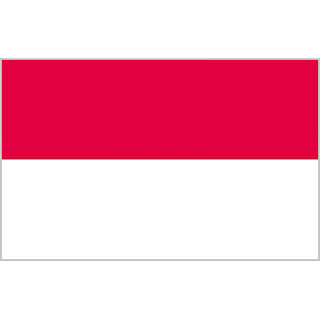 Official flag of Indonesia