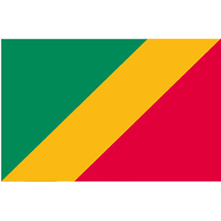 Official flag of Congo