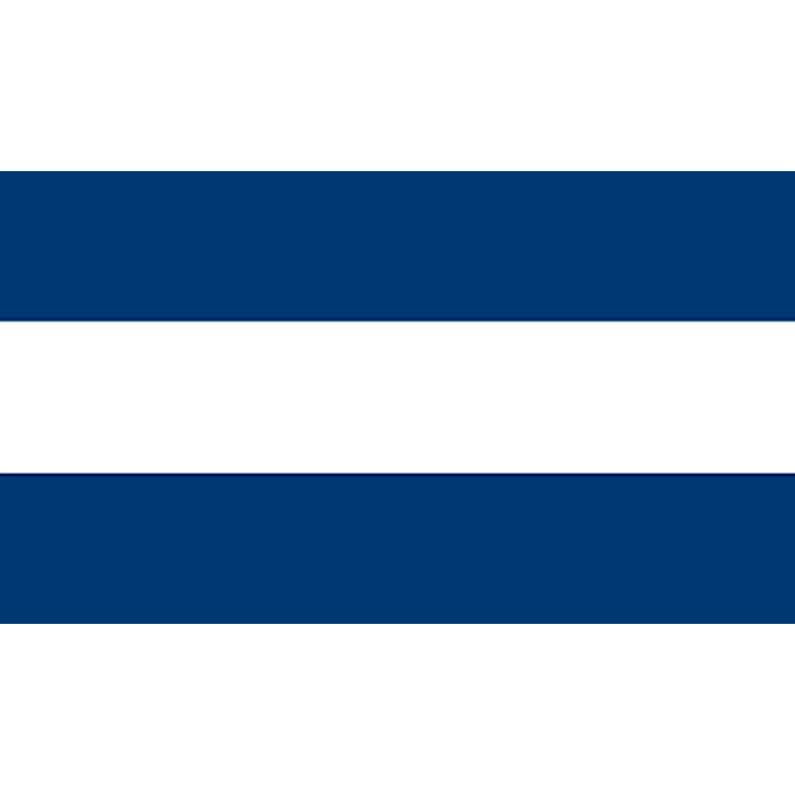 Official flag of Nicaragua