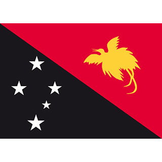 Official flag of Papua New Guinea