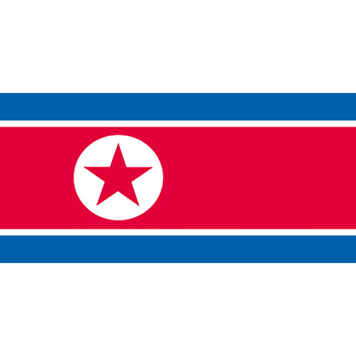 Nordkoreas officiella flagga