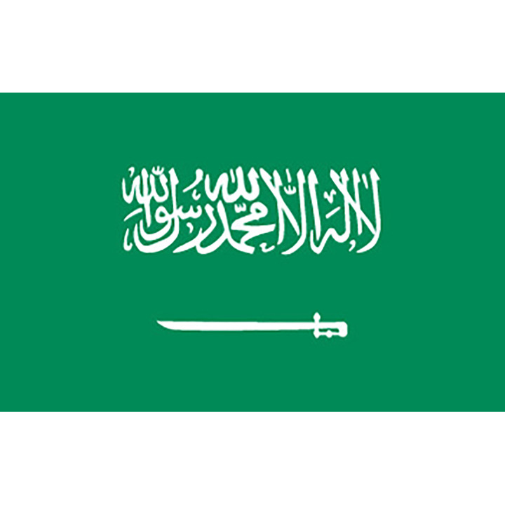 Saudi-Arabiens officiella flagga - Printscorpio e-butik