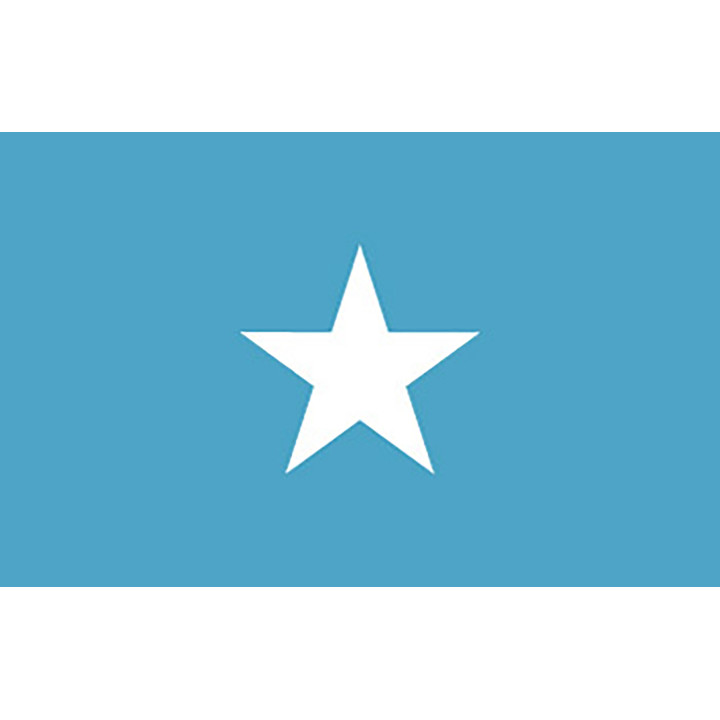 Official flag of Somalia