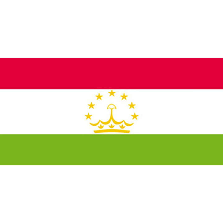 Official flag of Tajikistan