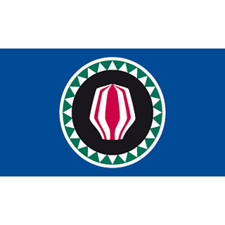 Bougainville national table flag - Printscorpio