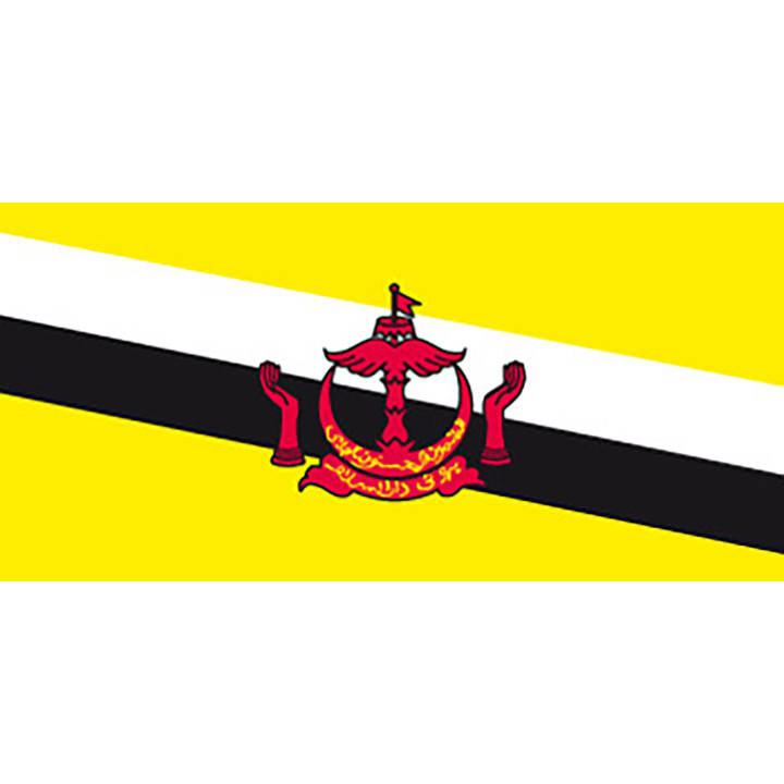 Brunei national table flag - Printscorpio