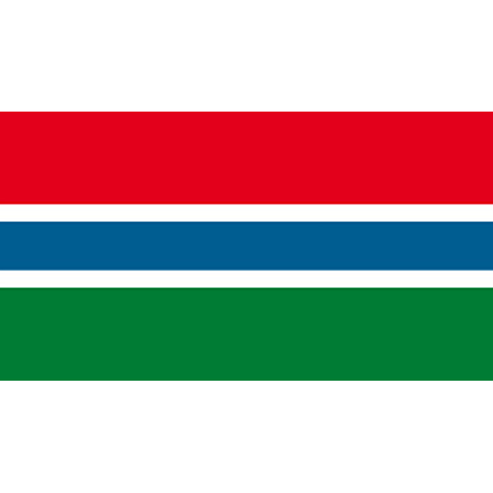 Gambia national table flag - Printscorpio