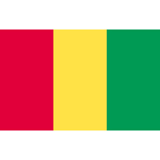 Guinea national table flag - Printscorpio