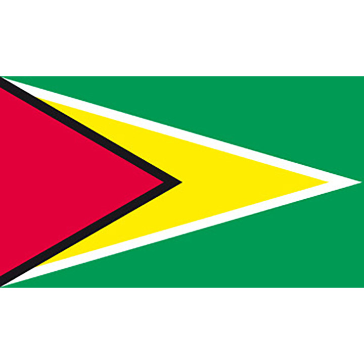 Guyana pöytälippu - Printscorpio