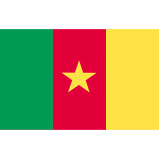 Cameroon national table flag - Printscorpio