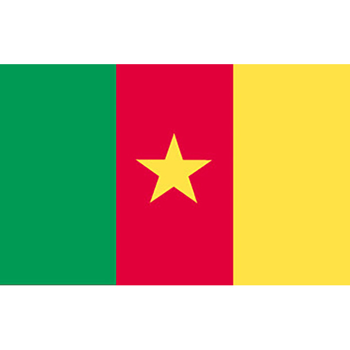 Cameroon national table flag - Printscorpio