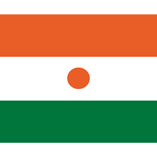 Niger national table flag - Printscorpio