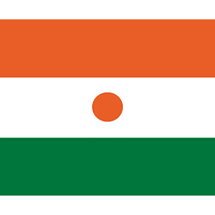 Niger national table flag - Printscorpio