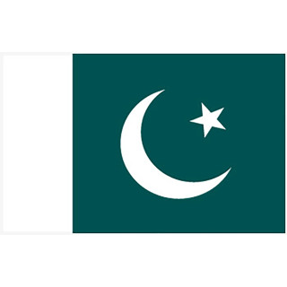 Pakistans national bordsflagga - Printscorpio