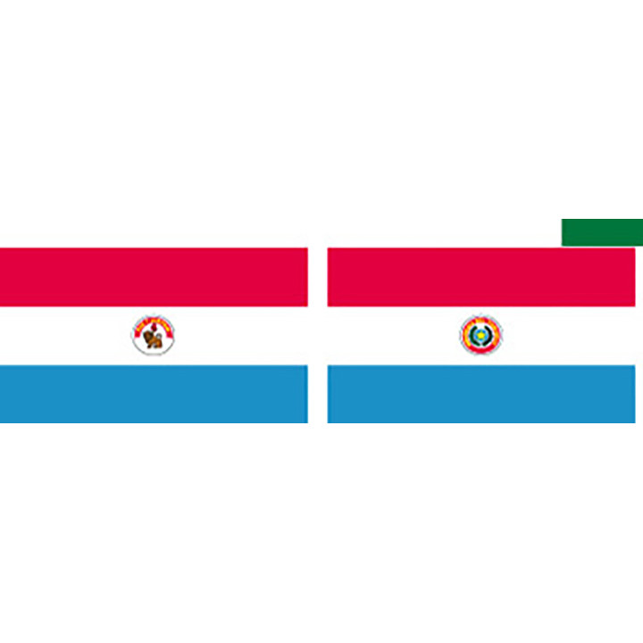 Paraguay national table flag - Printscorpio