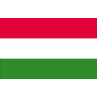 Hungary national table flag - Printscorpio