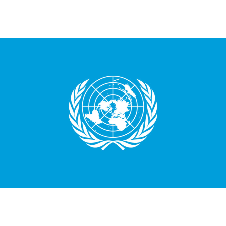 UN flag - Printscorpio