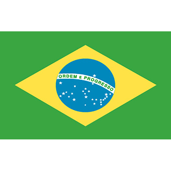 Official flag of Brazil