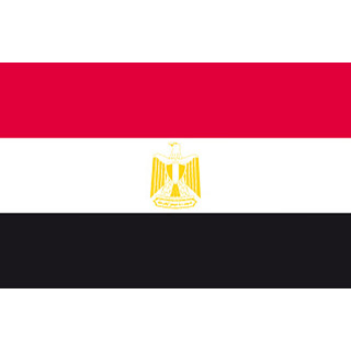 Official flag of Egypt