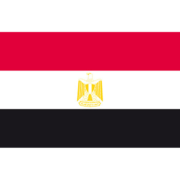 Official flag of Egypt