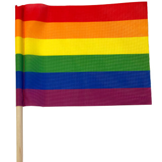 Pride Regnbågs viftflagga - Printscorpio