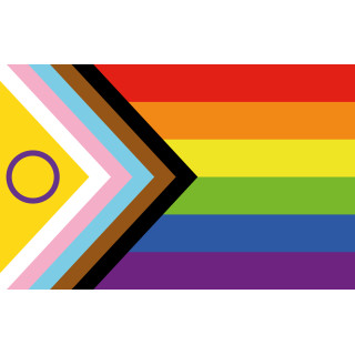 Progress Pride Regnbågs Bordsflaggan - Printscorpio